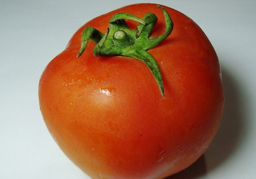西红柿减肥法