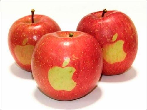 苹果减肥法的原理是怎样的