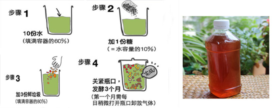 酵素是什么教你轻松自制美味酵素